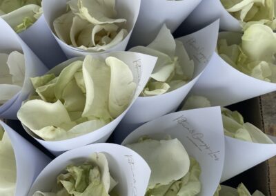 Pétales de roses cérémonie mariage